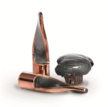 Norma 222 Remington 3,6g Oryx